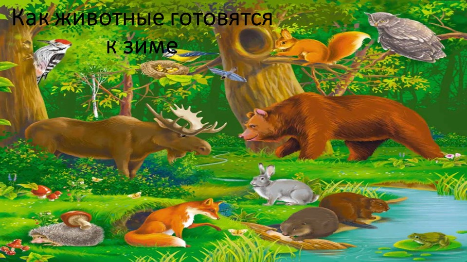 Презентация "Как животные готовятся к зиме" Учебники, Презентации и Подготовка к Экзаменам для Школьников на Klass-Uchebnik.com